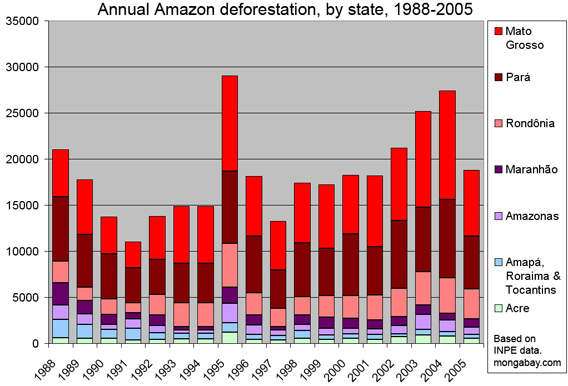 ratio meaning statistics deforestation 80 Amazon  drives of Beef