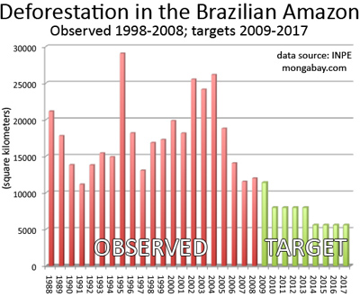 deforestation falls over 60% compared with last July, says Brazilian  minister,  rainforest