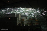 Rainforest dome