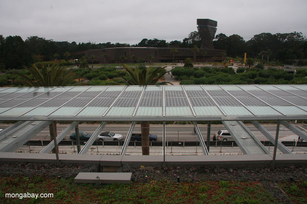 View of the de Young museum from the living roof of the Academy; note the solar panels