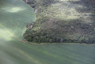 soybean field and transition forest in the brazilian amazon