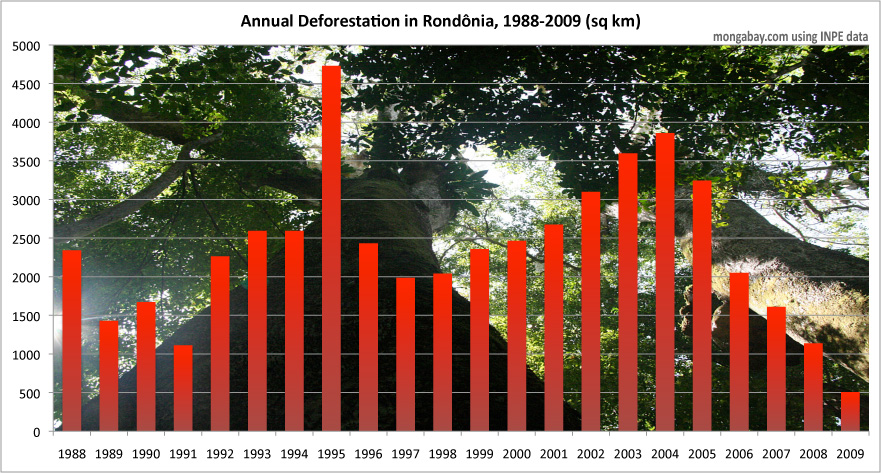 ia Viva: Rondônia and Acre states, Brazil - Trillion Trees