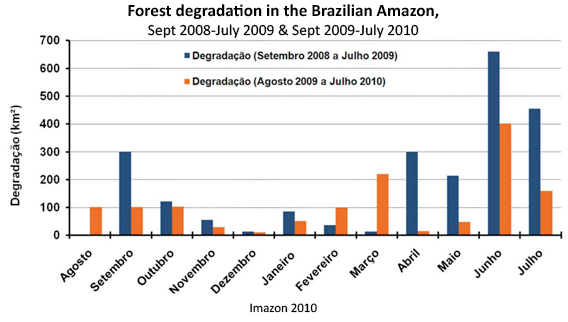 Chart: Brazil Sees Worst Deforestation In A Decade