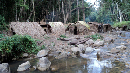 Logging camp in Masoala