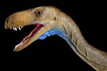 carnivorous pygmy dinosaur Eodromaeus