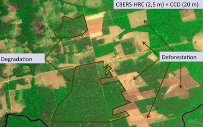 Detection of forest degradation.