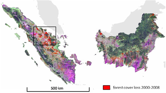 Forest cover loss for Sumatera and Kalimantan for 2000-2008