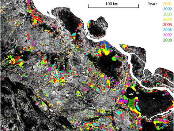 Temporal disaggregation of the moderate spatial resolution forest cover loss map for Riau province