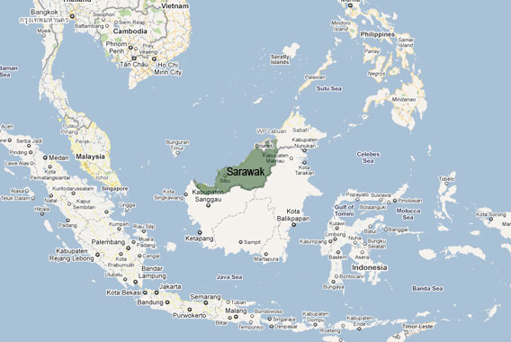 Google Earth reveals stark contrast between Sarawak s 