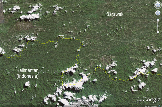 Logging roads and damaged forest in Sarawak compared with the healthy forest of Kalimantan (Indonesian Borneo)