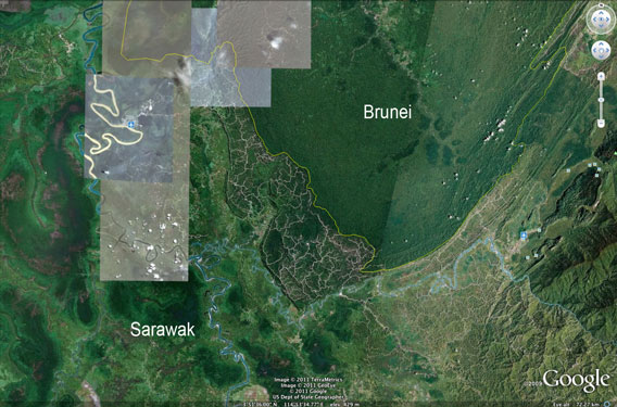 Logging roads and damaged forest in Sarawak compared with healthy forest in Brunei