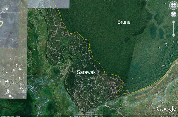Logging roads and damaged forest in Sarawak compared with healthy forest in Brunei