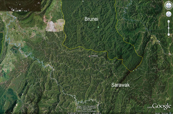 Logging roads and damaged forest in Sarawak compared with healthy forest in Brunei