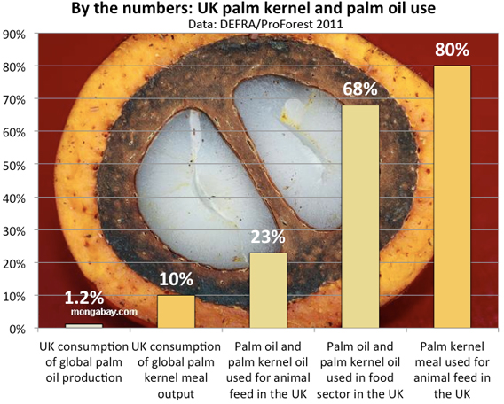 By the numbers: UK palm kernel and palm oil use
