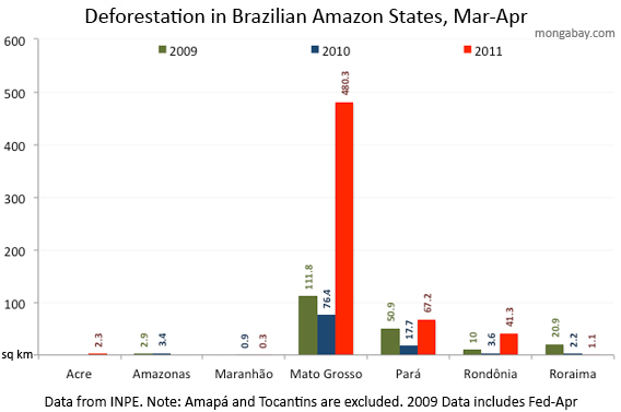 Chart: Brazil Sees Worst Deforestation In A Decade