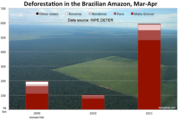 Levels of deforestation in the municipalities of Brazilian Legal