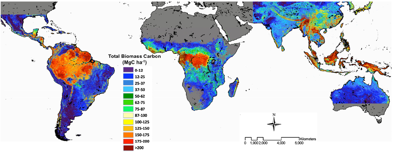 Unveiling The Global Landscape: A Comprehensive Guide To Carbon Maps ...