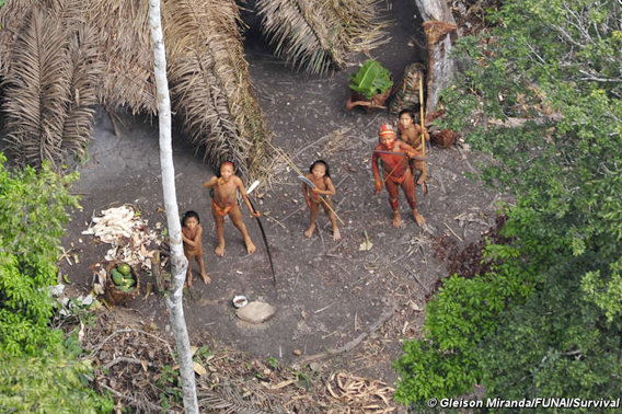 uncontacted indian tribe in the Amazon