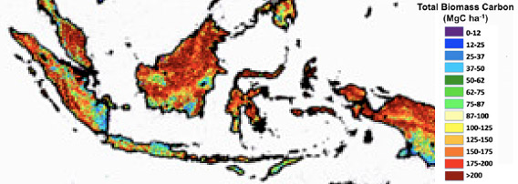 Carbon map of Indonesia
