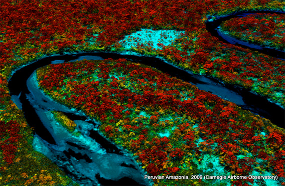 Airborne Taxonomic Mapping System