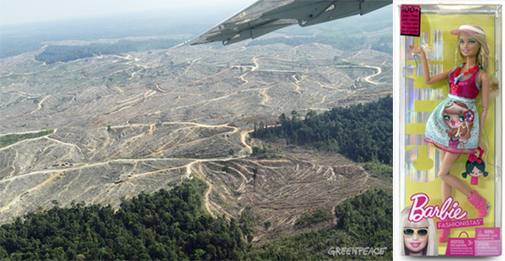 Forest clearing in the Bukit Tigapuluh Forest Landscape in central Sumatra