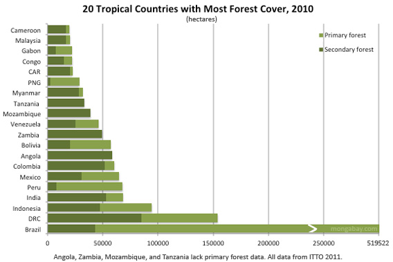 Tropical forest cover including old-growth forest area