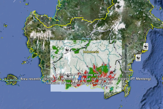 Fire Detected In Plantation That Allegedly Breached Indonesia S