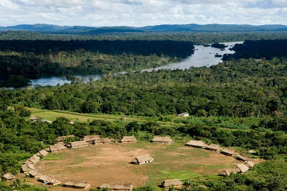 Aerial view of Kayapo territory in the Amazon