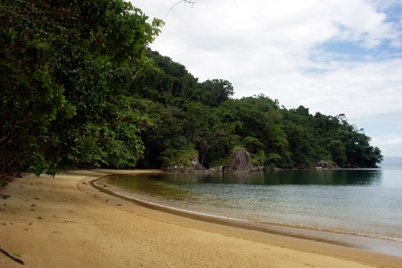 Beach on Nosy Mangabe, a tropical island paradise for wildlife enthusiasts