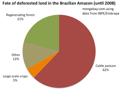 El destino de la tierra deforestada en la Amazonía brasileña hasta 2008