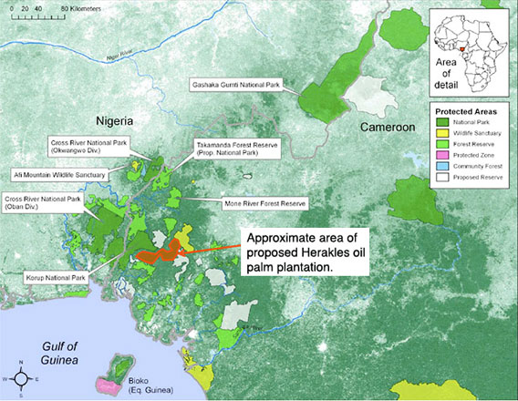 Carte de la plantation Herakles/SGSO au Cameroun. Propriété de SAVE Wildlife Conservation Fund, la fondation de protection de la nature et de la faune. 