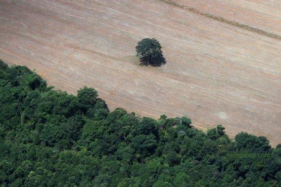 Deforestation in Brazil.