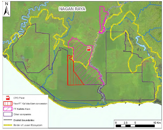 Tripa peat swamp.