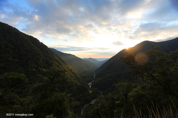 Sunrise over the Kosñipata Valley, one of the gateways to the Western Amazon, the most biologically-rich area of forest on the planet