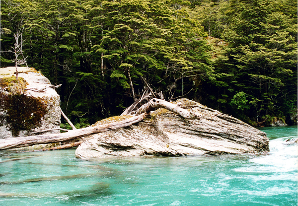 Routeburn track, New Zealand 