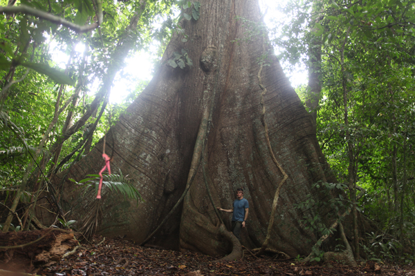 rhett in panama