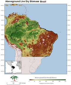 Brazil carbon map