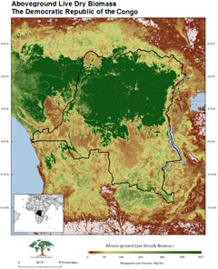 Congo carbon map
