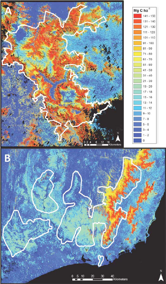 Densité de carbone au-dessus du sol (ACD) dans les régions Nord (A) et Sud (B) de Madagascar. La densité moyenne de carbone au-dessus du sol reflète la valeur médiane d’une classe d’habitat couverte et mesurée par le système LiDAR. Les zones noires sont des zones non observées ou des étendues d’eau. 