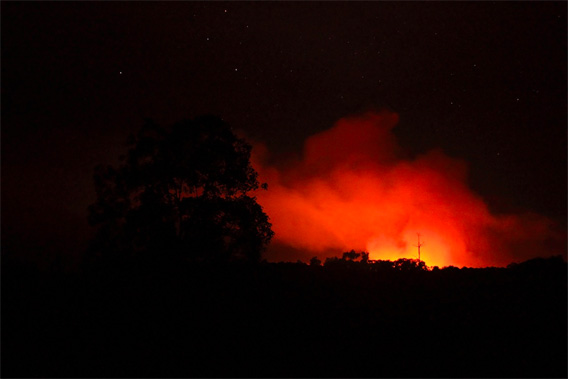 Fires in Tripa.