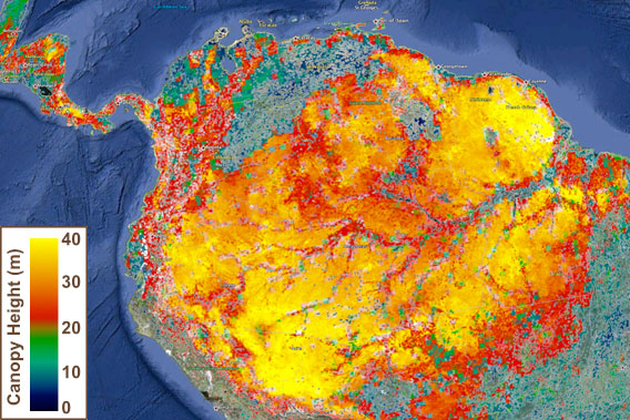 Now on Google Earth: NASA updates global forest height map