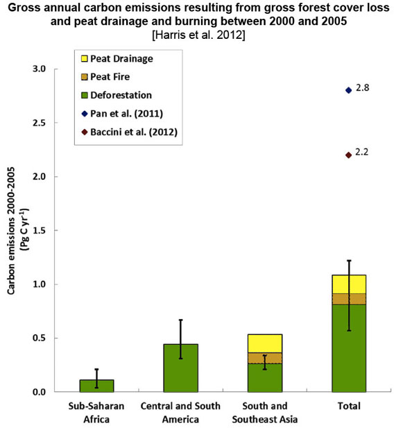 Countries with the highest gross forest loss between 2000 and 2005 according to the new study