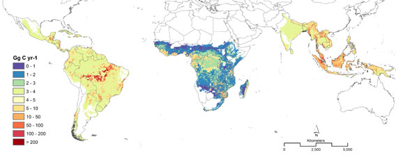 Countries with the highest emissions from deforestation between 2000 and 2005 according to the new study