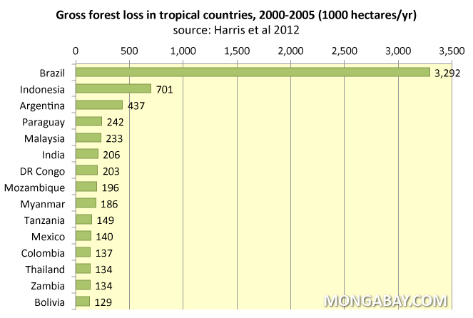 Chart: Gross forest loss in tropical countries, 2000-2005.