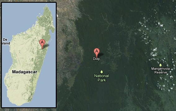 Chart: Change in peatland cover in Indonesia and Malaysia between 2000 and 2010