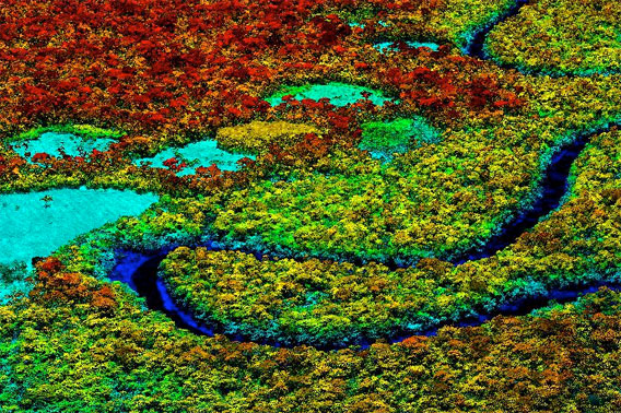 Detailed look at an image generated by the LiDAR /Imaging Spectrometer of the Carnegie Airborne Observatory.