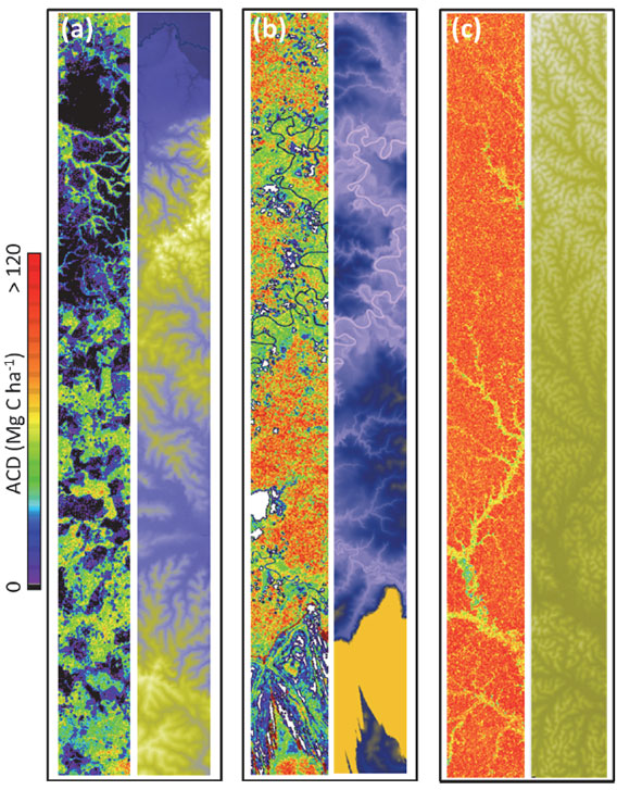 Detailed look at an image generated by the LiDAR /Imaging Spectrometer of the Carnegie Airborne Observatory.