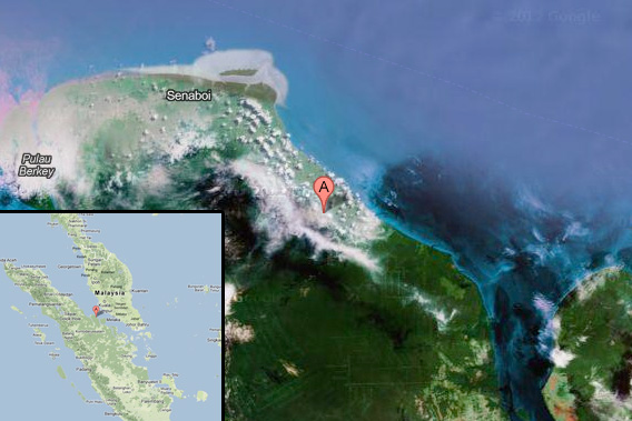 Deforestation in Sumatra by PT. Suntara Gajapati