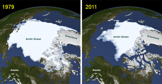Climate change has rapidly shrunk Arctic sea ice over the past thirty-plus years. Images showing the Arctic sea ice minimum in September of 1979 (the year satellites started recording sea ice extent) and in September of 2011. Credit: NASA.