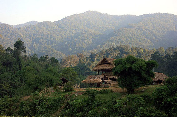 Pu Mat National Park in the Annamite Range in Vietnam. Photo by: Rolf Müller. 